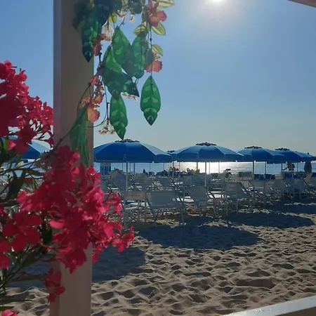 Regina Σενιγκάλια